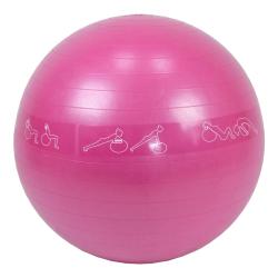 Lifefit Gymnastický míč Anti-burst 55 cm bordó