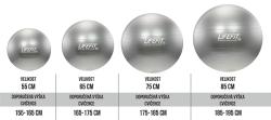 Lifefit Gymnastický míč Anti-burst 55 cm stříbrný