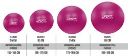 Lifefit Gymnastický míč Anti-burst 75 cm bordó