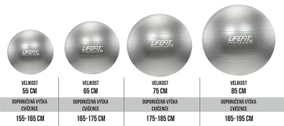 Lifefit Gymnastický míč Anti-burst 65 cm stříbrný