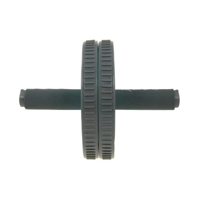 Lifefit Posilovací kolečko Exercise Wheel Duo mint