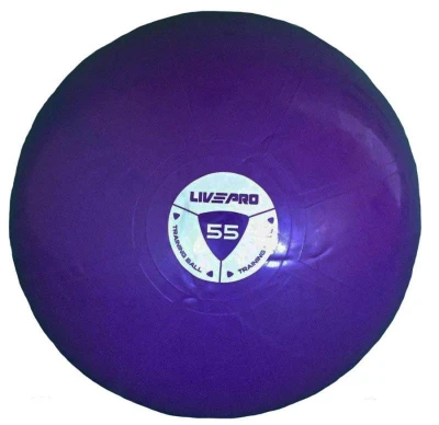 Livepro Míč gymball STUDIO FIT EXERCISE 55 cm POUZE 55 cm (VÝPRODEJ) Livepro Míč gymball STUDIO FIT EXERCISE 55 cm POUZE 55 cm (VÝPRODEJ)