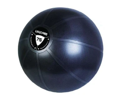 Livepro Loptu gymball STUDIO FIT EXERCISE 55 cm LEN 55 cm (VÝPREDAJ)