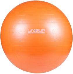 Liveup Gymnastický míč Anti-burst 65 cm