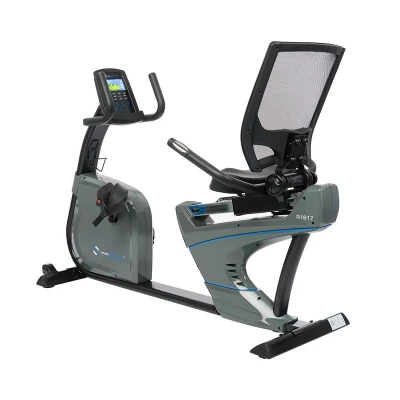 HMS PREMIUM R1817 Magnetický recumbent HMS PREMIUM R1817 Magnetický recumbent