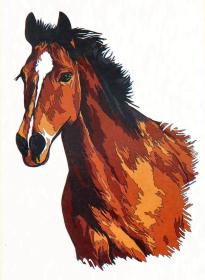 Malování podle čísel kůň kreativní set obrazek A4 s barvičkami a štětcem