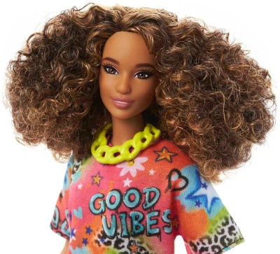 Mattel BRB Panenka Barbie Fashionistas modelka 6 druhů v krabičce