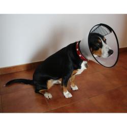 Merco Anti Bite Collar ochranný límec pro psy POUZE XL (VÝPRODEJ)