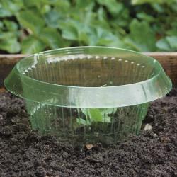 Merco Anti Snail Collar ochranný kryt pro rostliny 12 ks