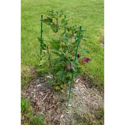 Merco Climber opora pro rostliny