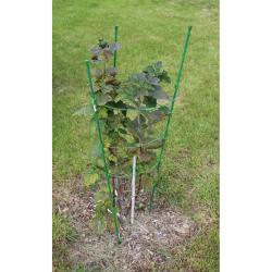 Merco Climber opora pro rostliny