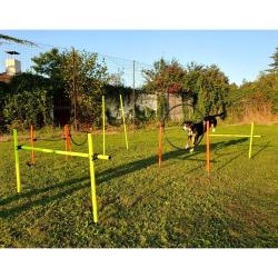 Merco Dog Multi agility překážky pro psy
