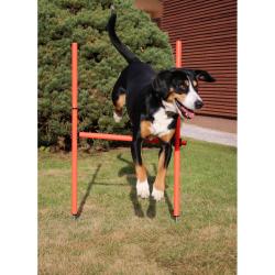 Merco Dog Trainer agility překážky pro psy