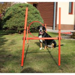 Merco Dog Trainer agility překážky pro psy