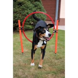 Merco Dog Trainer agility překážky pro psy