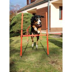 Merco Dog Trainer agility překážky pro psy