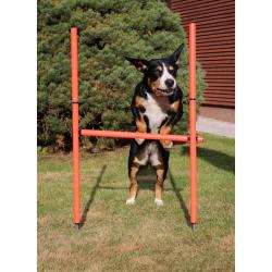 Merco Dog Trainer agility překážky pro psy