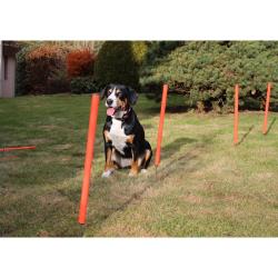 Merco Dog Trainer agility překážky pro psy