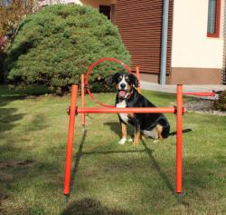 Merco Dog Trainer agility překážky pro psy