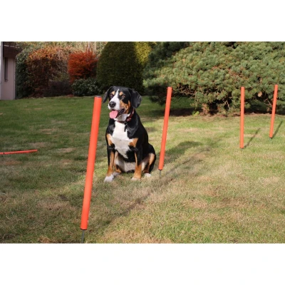 Merco Dog Trainer agility překážky pro psy