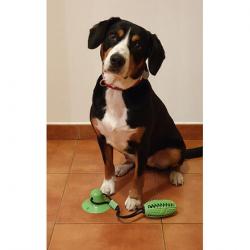 Merco Doggie hračka pro psy zelená