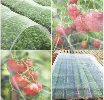 Merco Garden Mesh síť proti hmyzu a ptákům 2,5 x 7,5 m
