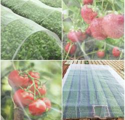 Merco Garden Mesh síť proti hmyzu a ptákům 3 x 5 m