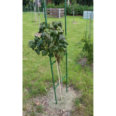 Merco Gardening Rod 45 světle zelená spojka pro zahradní tyče 11 mm