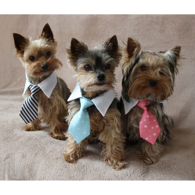 Merco Gentledog kravata pro psy růžová