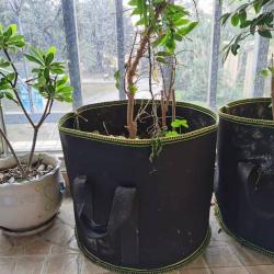 Merco Grow Bag 19L textilní květináč