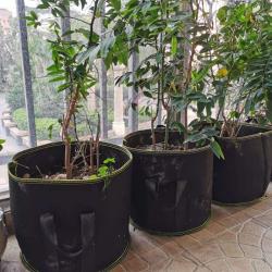 Merco Grow Bag 8L textilní květináč