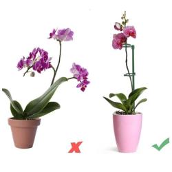 Merco Plant Rod 90 tyčky k rostlinám 10 ks