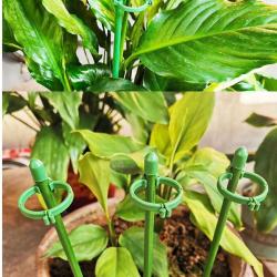 Merco Plant Rod 90 tyčky k rostlinám 10 ks