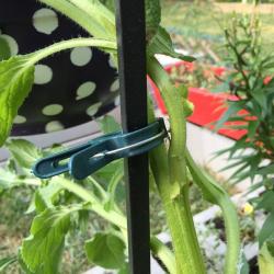 Merco PlantClip 20 upínací spony na rostliny