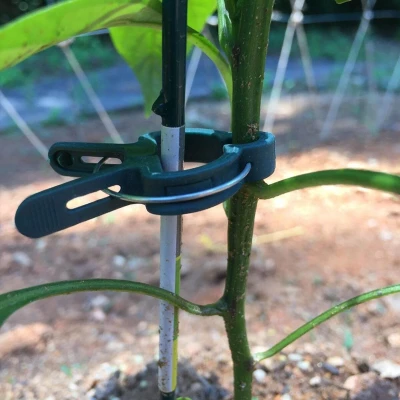 Merco PlantClip 20 upínací spony na rostliny