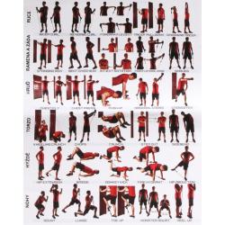 Merco Resistance Band Set TPE posilovací gumy