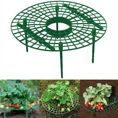 Merco Strawberry Stand 30 stojan na jahody