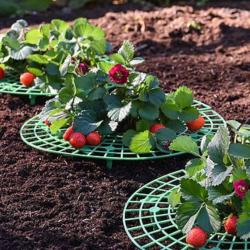 Merco Strawberry Stand 30 stojan na jahody
