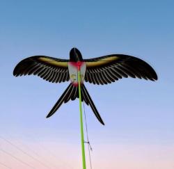 Merco Swallow Kite létající drak