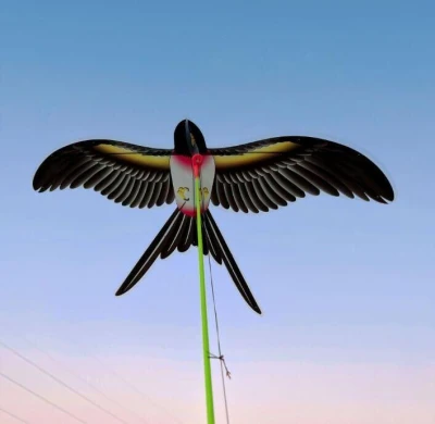 Merco Swallow Kite létající drak