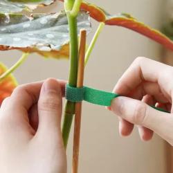 Merco Tape 15 vázací zahradnická páska 50 ks