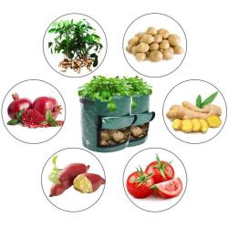 Merco Veggie Bag 35 x 50 cm pytel na pěstování zeleniny