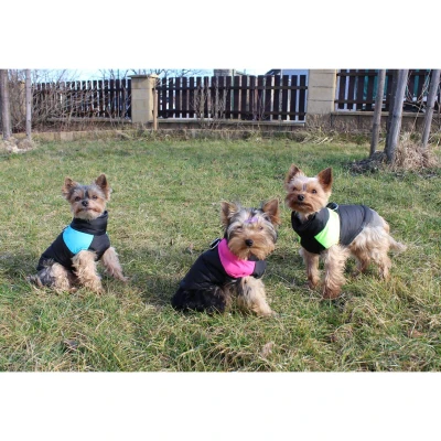 Merco Vest Doggie kabátek pro psy zelená