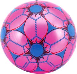 Míč barevný 23cm potištěný balon různé druhy vyfouknutý v síťce