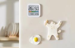 Miiiw Enjoy thermohygrometer (White)