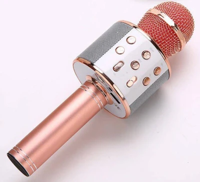 Mikrofón bezdrôtový detský Selfie / FM Rádio / USB / REC na batérie 5 farieb