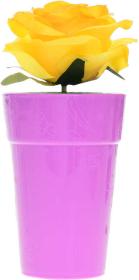 Miminko Babyblooms 13cm panenka květina v květináči 2v1 12 druhů