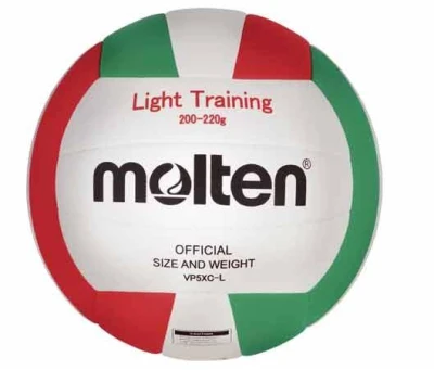Molten V5M 2000-L volejbalový míč
