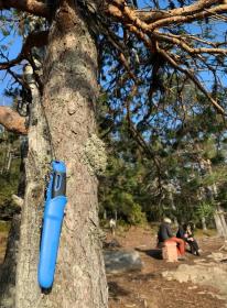 Morakniv Companion Spark (S) Blue