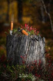 Morakniv Eldris (S) Burnt Orange box